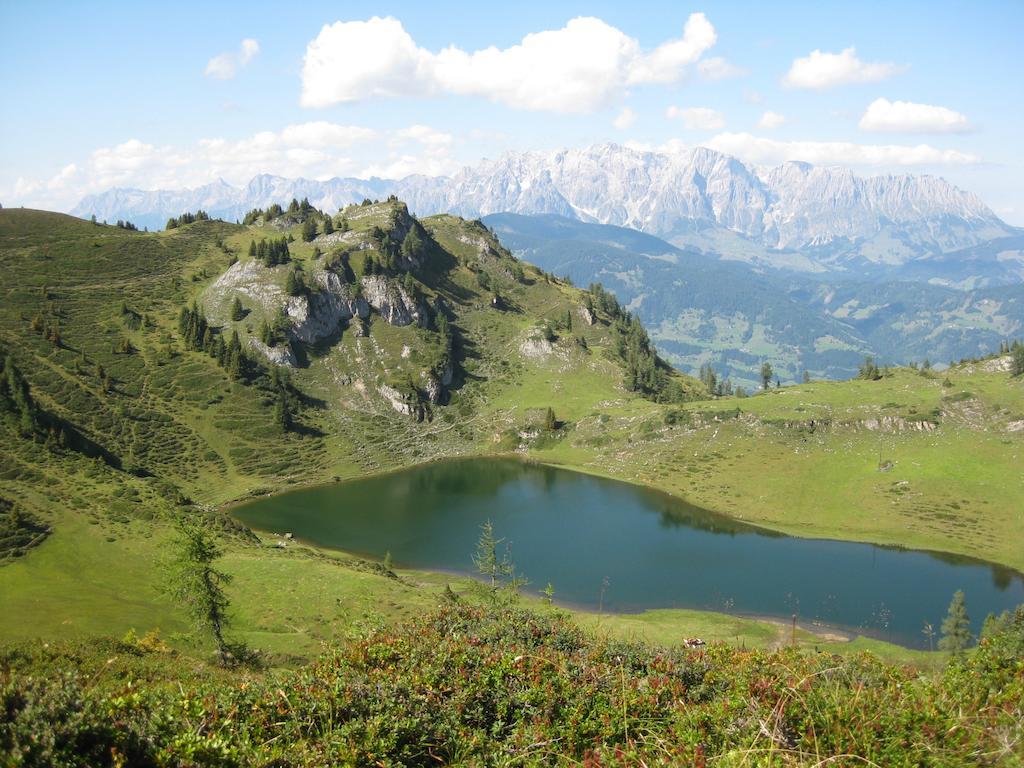 Bergparadies - Inklusive Eintritt In Die Alpentherme Дорфгаштайн Экстерьер фото